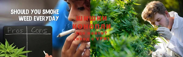 шишки Абинск