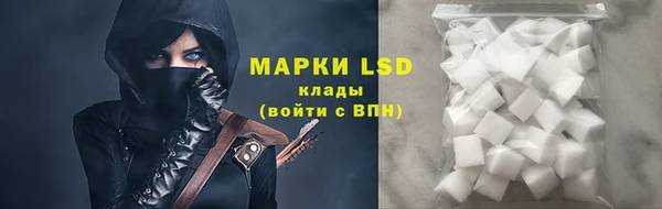 шишки Абинск