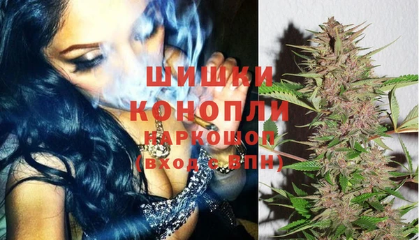 шишки Абинск