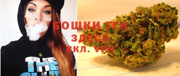шишки Абинск