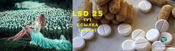 гидра Абаза