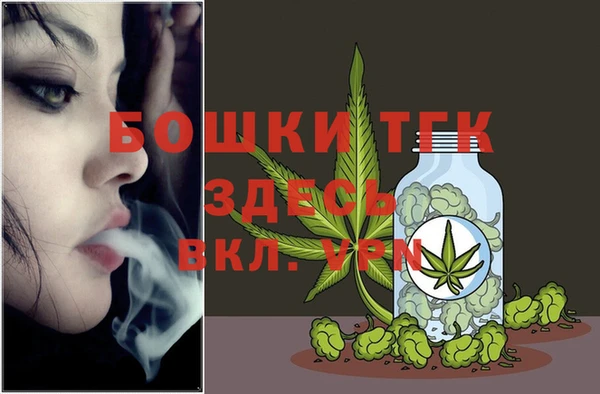 гидра Абаза