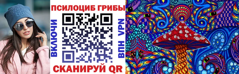 Галлюциногенные грибы MAGIC MUSHROOMS  где купить наркоту  Отрадное 