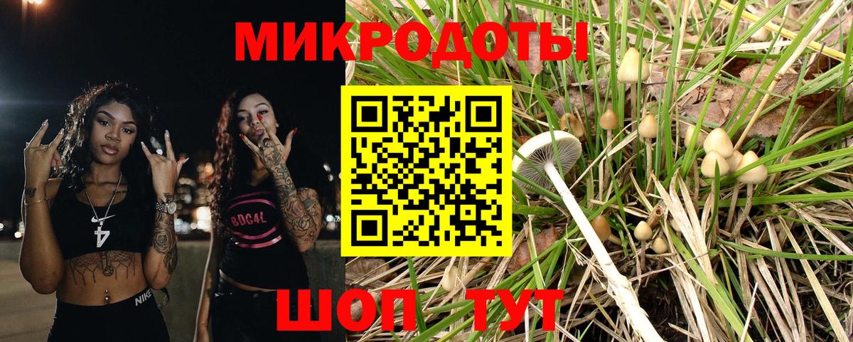 Галлюциногенные грибы Cubensis  Вход с VPN  Отрадное 