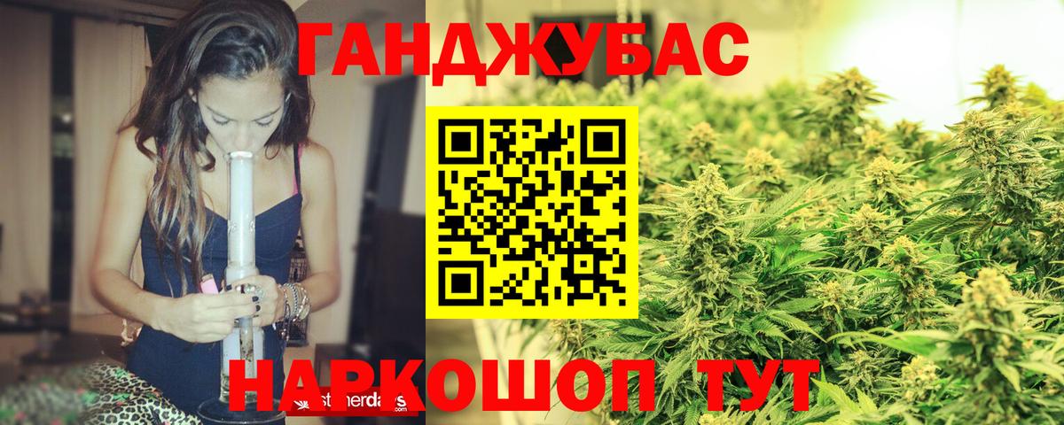 Конопля план Отрадное